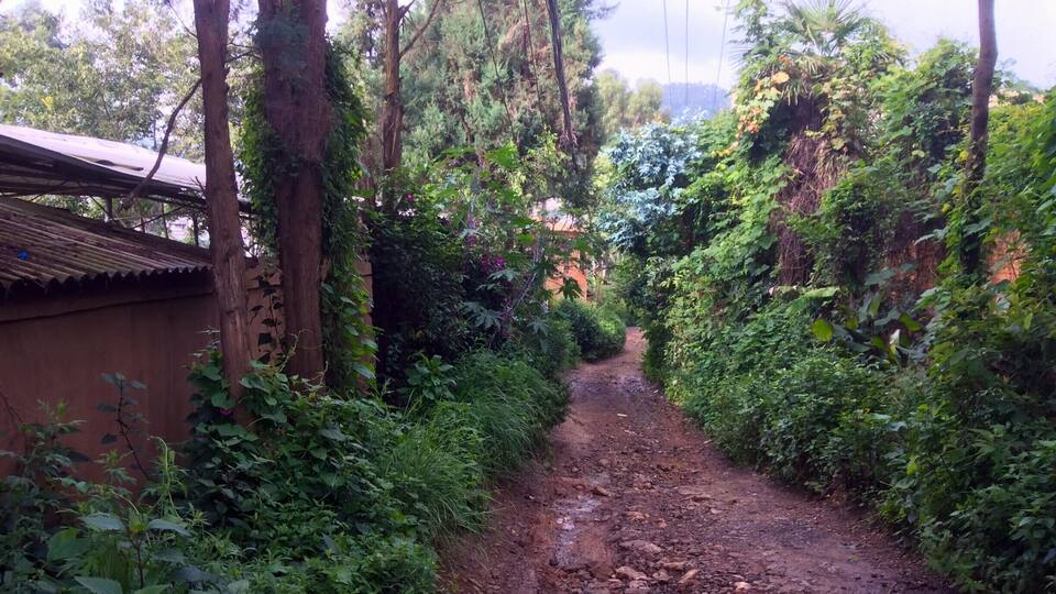 This shot is taken just 3-5 minutes walk from the Longchuan river park of Shangbacun. The road/path is the main road of this small hillside village (the suburbs of Shangbacun?).
I find myself wondering how different is this alley compared to my childhood home in suburban Edmonton, Alberta, Canada. And all the people I meet on the road, how different are their thoughts to mine?
“Travel far enough, you meet yourself." - David Mitchel, Cloud Atlas
