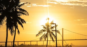Spectacular golden sunset over the estuário do espírito santo in Maputo, Mozambique with the Silhouettes of Palm trees in the foreground and the Katembe suspension bridge in the background.