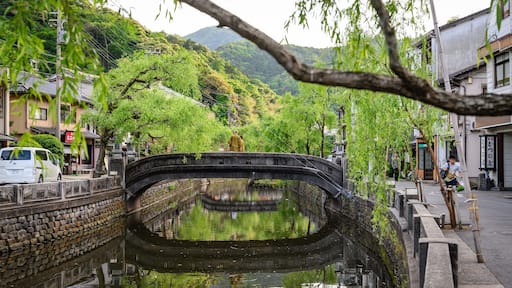 Kinosaki Onsen featuring a small town or village, a bridge and a river or creek