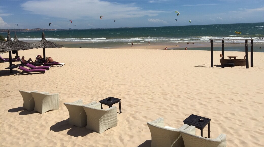 Little bit of paradise in an otherwise chaotic area!