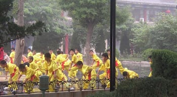 We were walking along and happened upon a kung fu school doing drills outside in the open air.