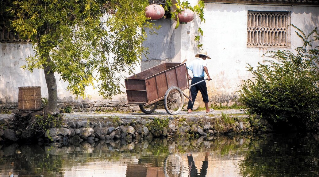 Hongcun Village was a 40 minute drive from Yellow Mountain so we included it in our Yellow Mountain adventure. It is an ancient village that is well-preserved and very photogenic. It's very common to see along the banks of the small lake artists painting their own version of it
The village dates back to the Ming dynasty with some buildings still standing from that time, most of them seemed to be from the Qing dynasty though and only America-old and not China-old.
Hongcun may be familiar to people because it is also one of the locations where Crouching Tiger Hidden Dragon was filmed.