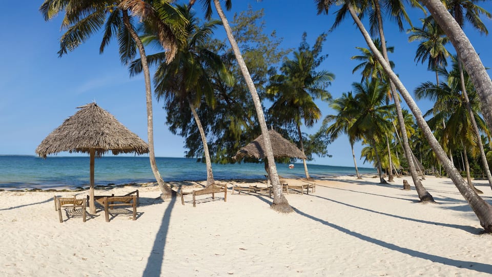 Plage de sable blanc de zanzibar
