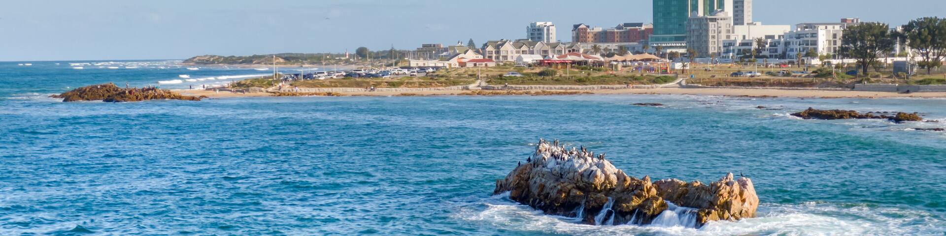Aerial view of Bird Island with Cape Cormorants offshore from Pollock Beach in Summerstrand