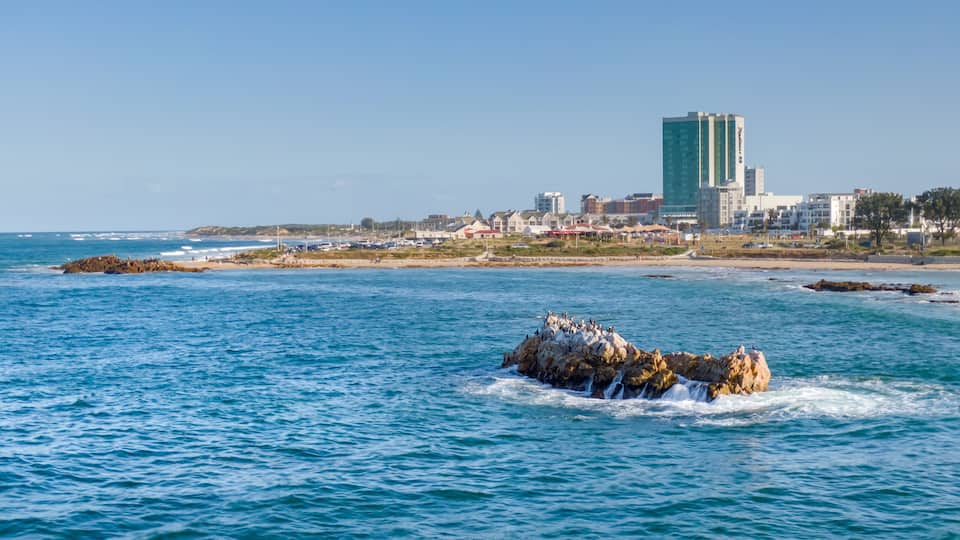 Aerial view of Bird Island with Cape Cormorants offshore from Pollock Beach in Summerstrand