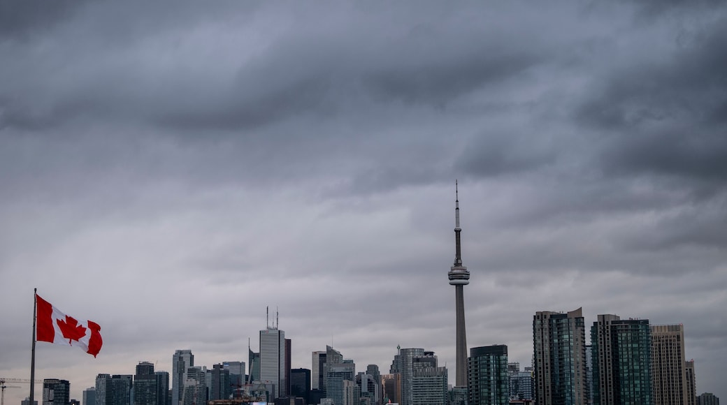 A city skyline with a prominent tower and a flag.
