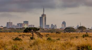 ลาวิงตัน