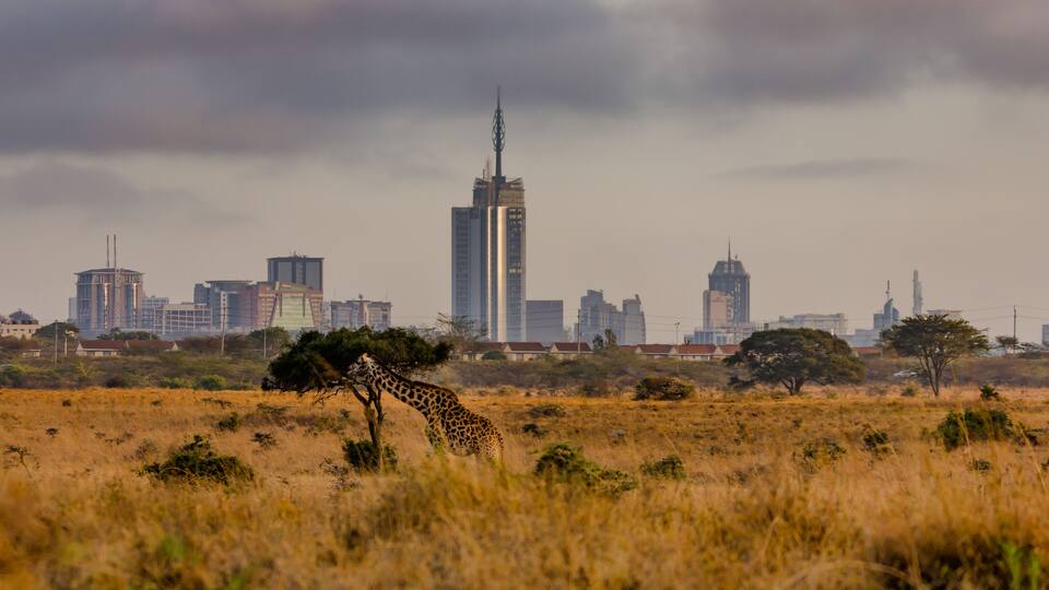 A view of the city of Nairobi from Nairobi National Park