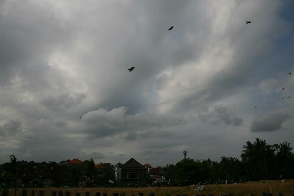 Balinese people love their kites. 