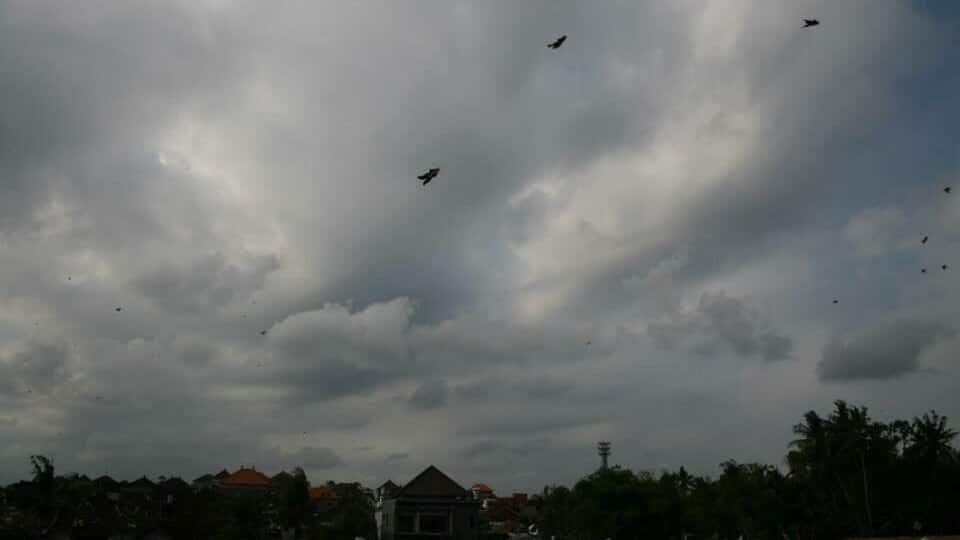Balinese people love their kites.