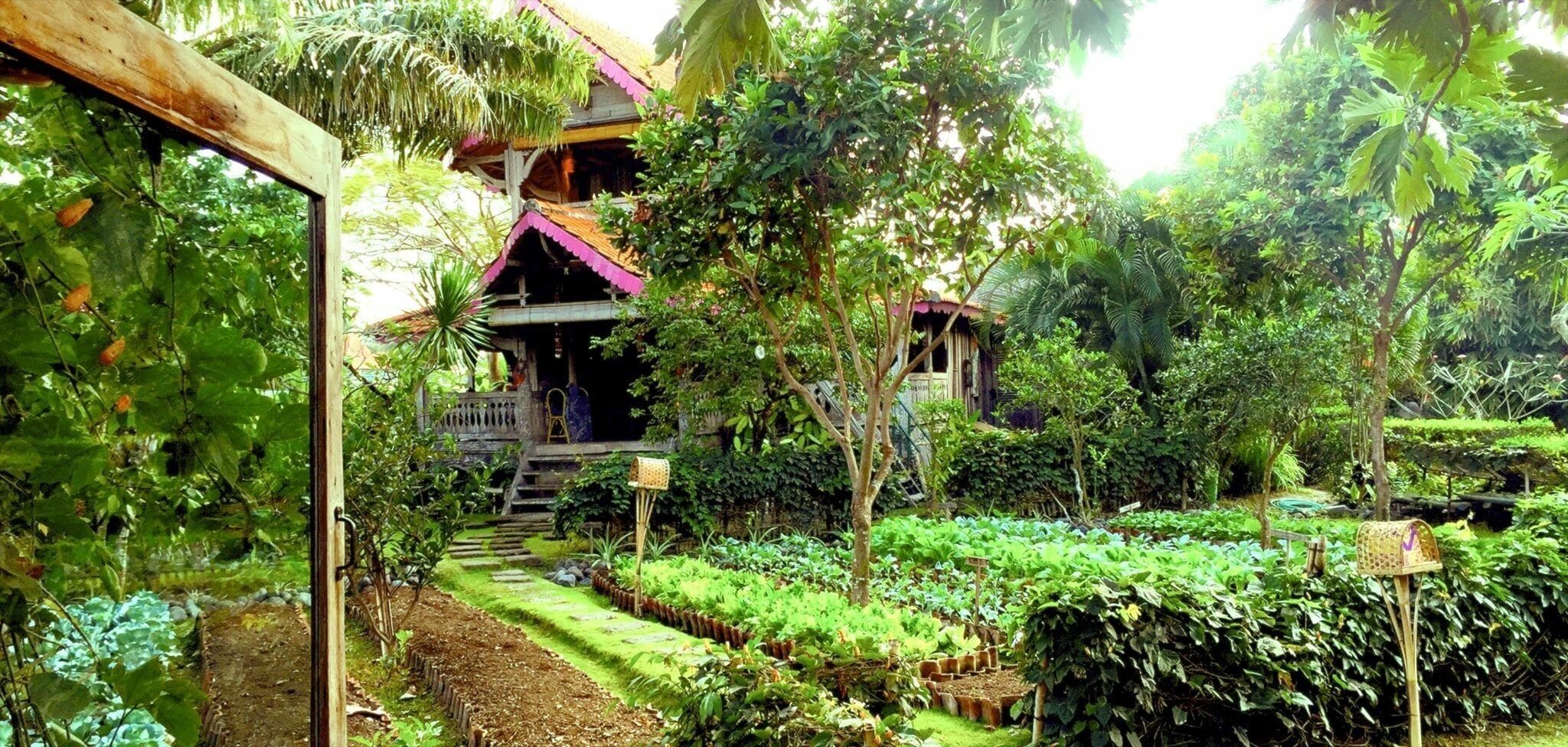 Colorful Balinese cottages with private verandas, plus an organic restaurant, a pool & a spa. This was our 100 year old cottage that we called home for several days. The outdoor showers, world renown Yoga classes, vegetable gardens everywhere, meandering paths that lead to beautiful floral gardens and private sanctuaries. Traditional Balinese customs and kindness abound.  