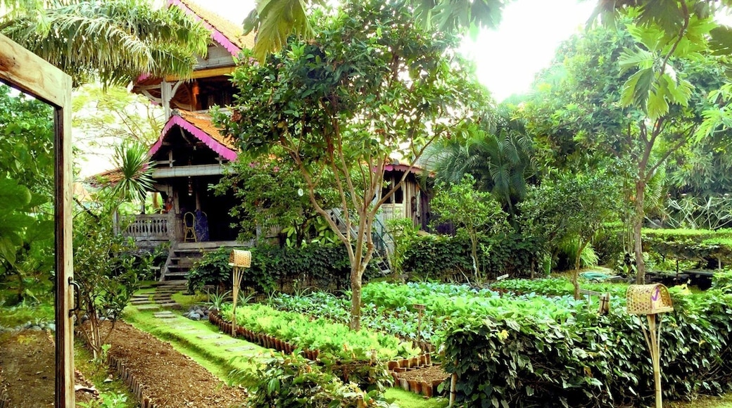 Colorful Balinese cottages with private verandas, plus an organic restaurant, a pool & a spa. This was our 100 year old cottage that we called home for several days. The outdoor showers, world renown Yoga classes, vegetable gardens everywhere, meandering paths that lead to beautiful floral gardens and private sanctuaries. Traditional Balinese customs and kindness abound.