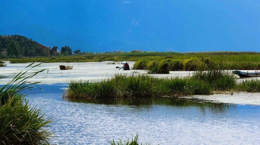Beautiful Lijiang #LuguLake,Yunnan Province of China.美丽的泸沽湖.
https://twitter.com/Beautifulgx
