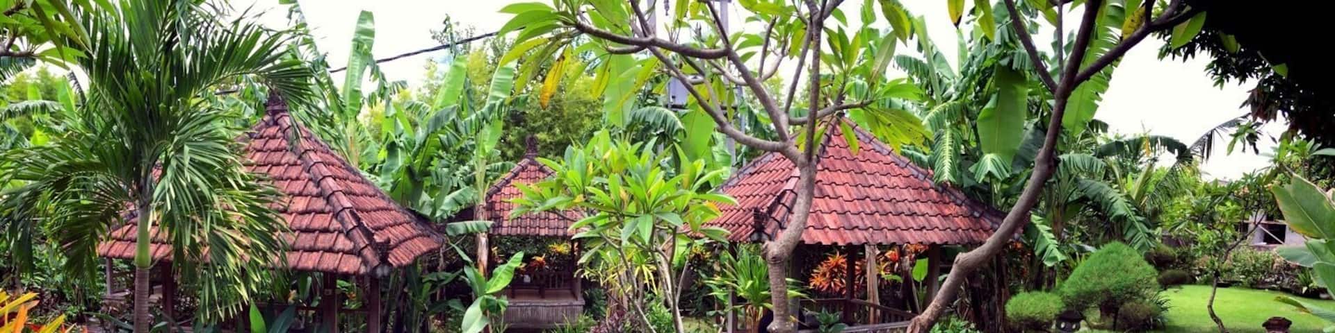 A lush garden with thatched-roof huts, a stone pathway, and tropical plants.