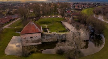 Eine historische Burg, umgeben von einem Burggraben, mit einer Kirche im Hintergrund und einer Stadt am Flussufer.