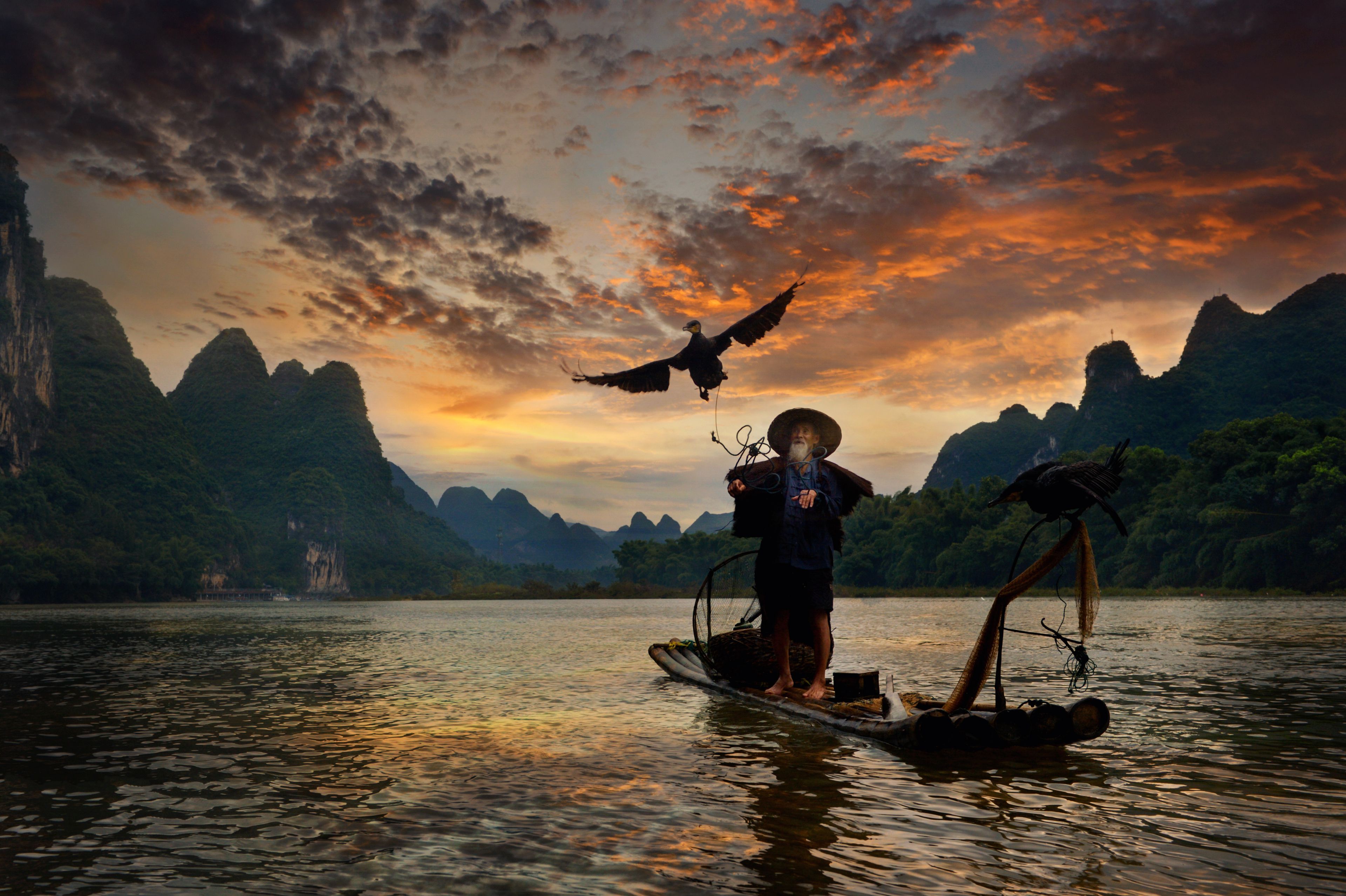 Fisherman and cormorant , Guangxi province, China
