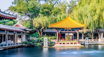 Thị Trung