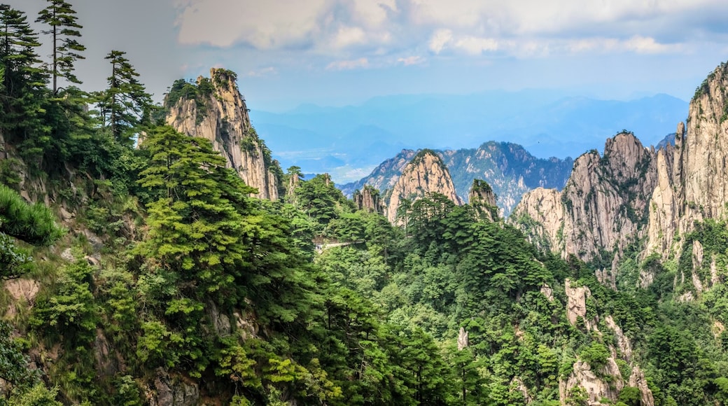 Panorama with pine trees in the foreground and rough rocky peaks leading to the horizon in Huang Shan (黄山, Yellow Mountains) China