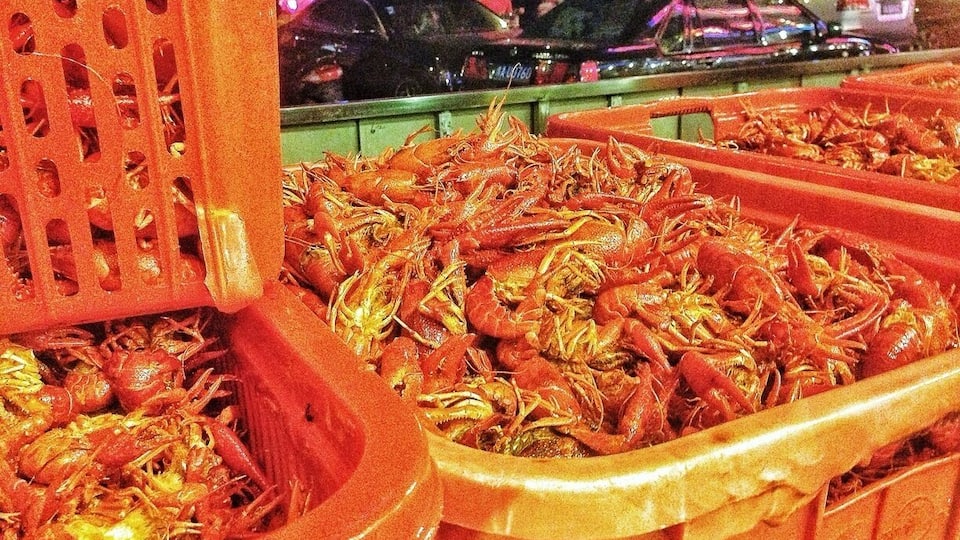 Can you imagine this? A restaurant only to eat Red Shrimp!
