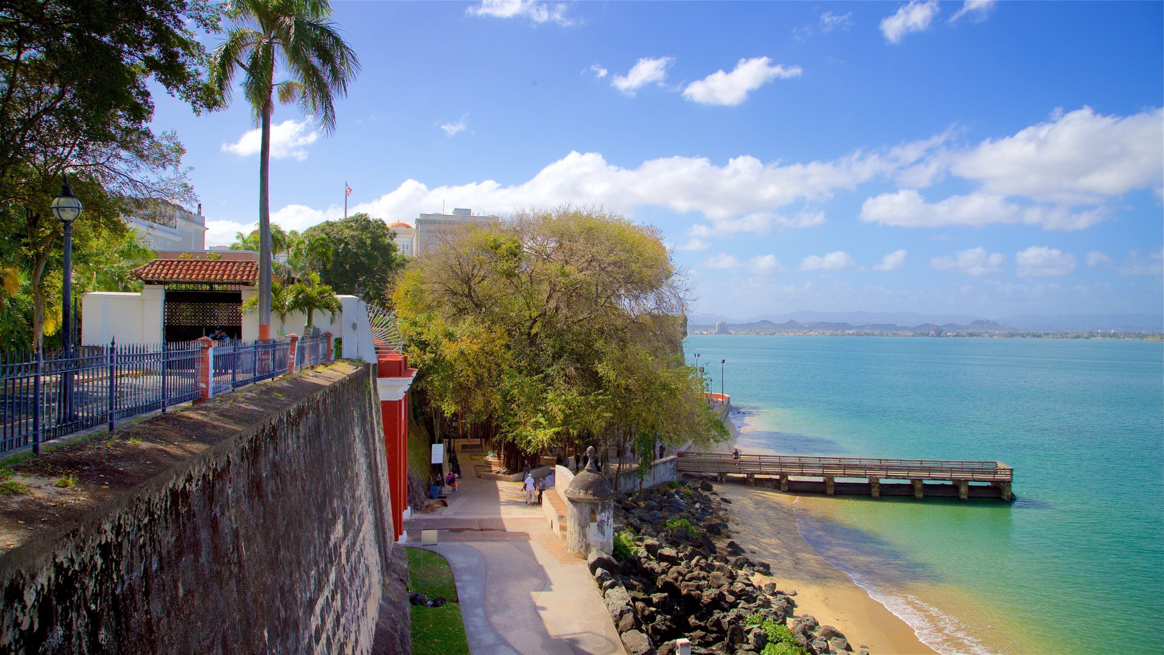 A coastal walkway with a stone wall, palm trees, and a clear blue sea.