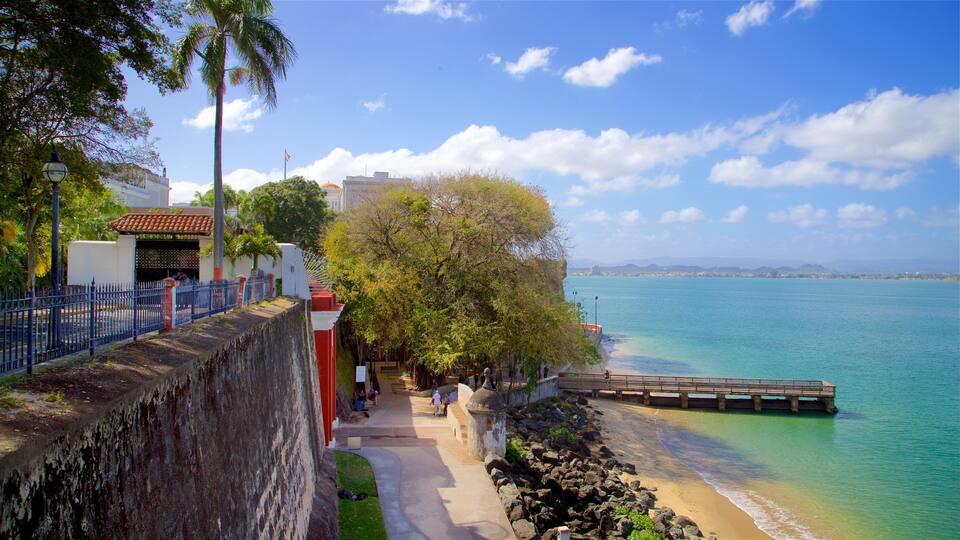 A coastal walkway with a stone wall, palm trees, and a clear blue sea.
