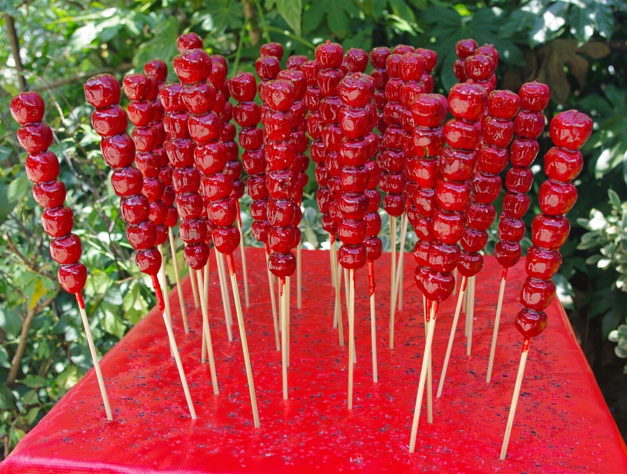 Candied hawthorne berries for sale in Qianling Mountain Park.

In Guizhou's capital city of Guiyang, one can find a mountain park full of monkeys, buddhist effigies, lush trees, and of course: delicious street food vendors.

#SweetSpot #china #streetfood
