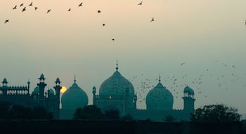 Sunset and birds with Badshahi Masjid Lahore
