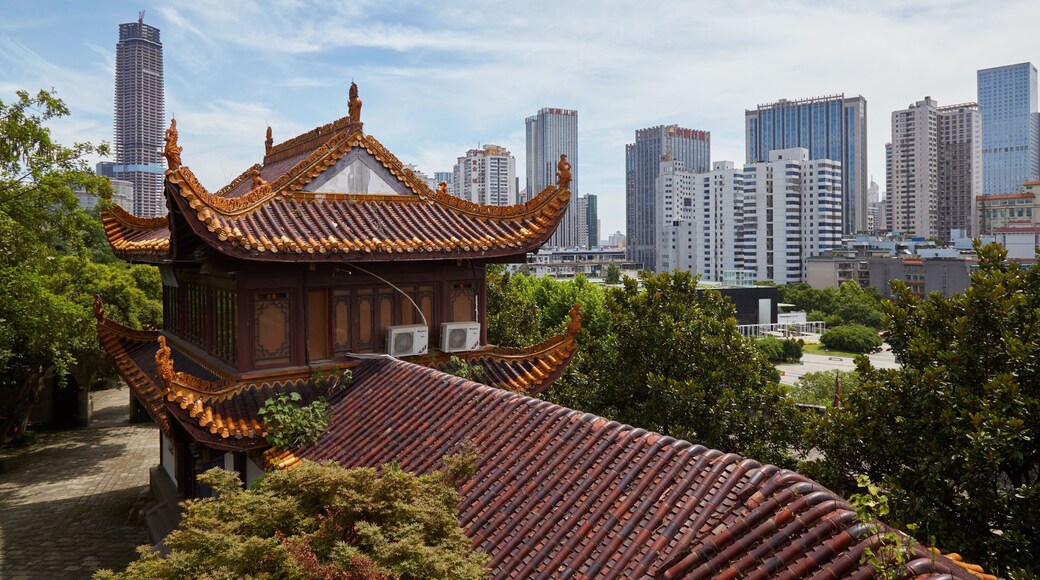 Distrik Tianxin