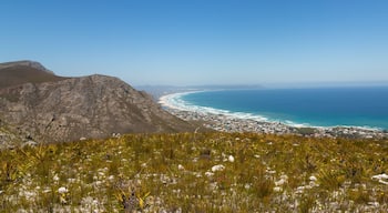 Eine Küstenlandschaft mit einem Berg, Strand und Meer.