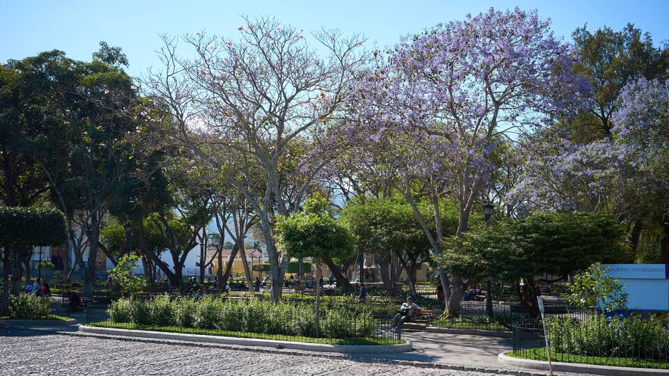 Central Park of Antigua in Guatemala / Downtown in Central American City of Anitgua