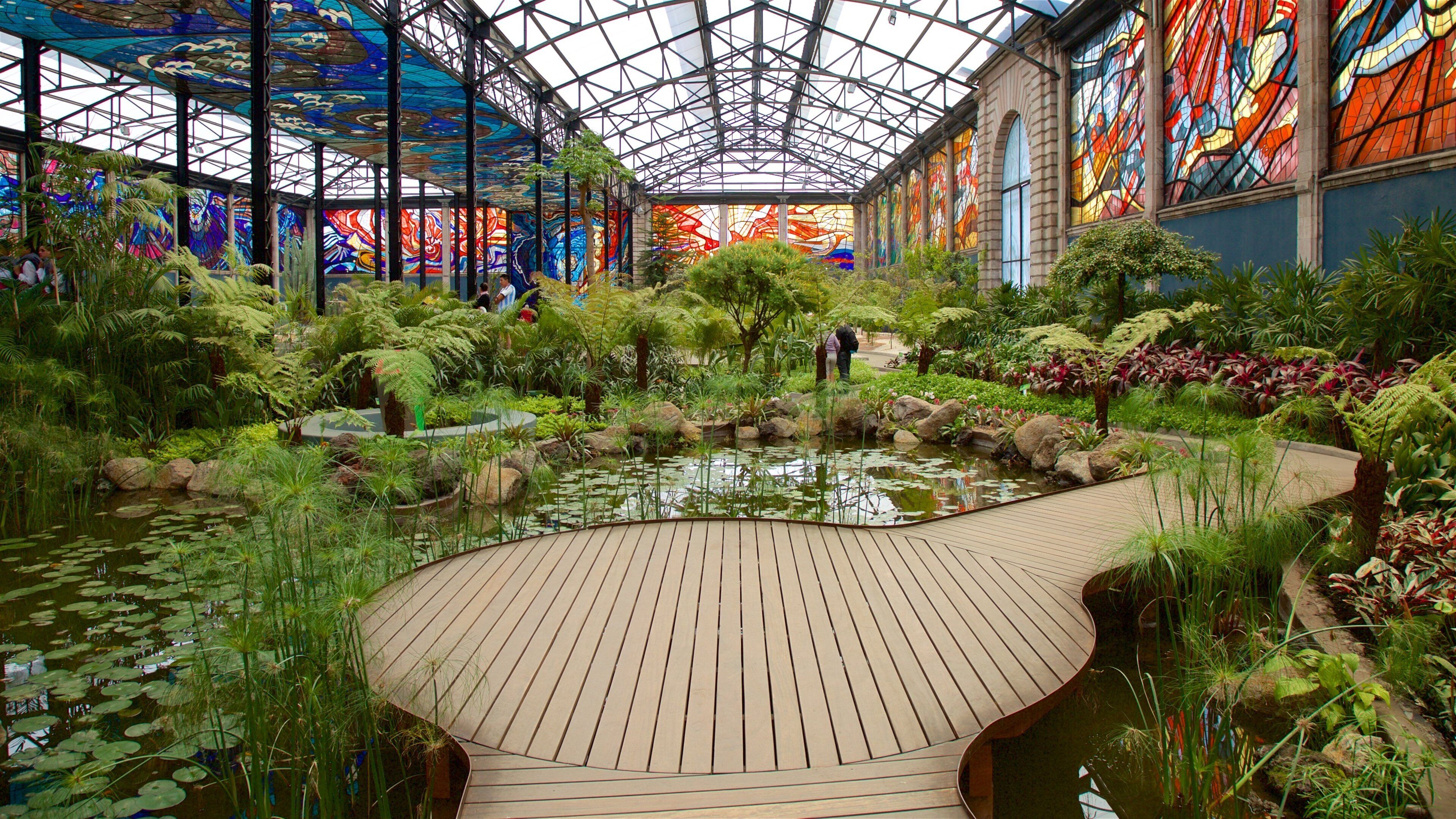 Toluca City-Centre featuring a garden, a pond and interior views