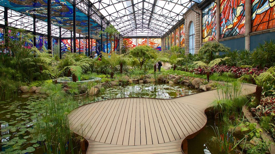 Toluca City-Centre featuring a garden, a pond and interior views