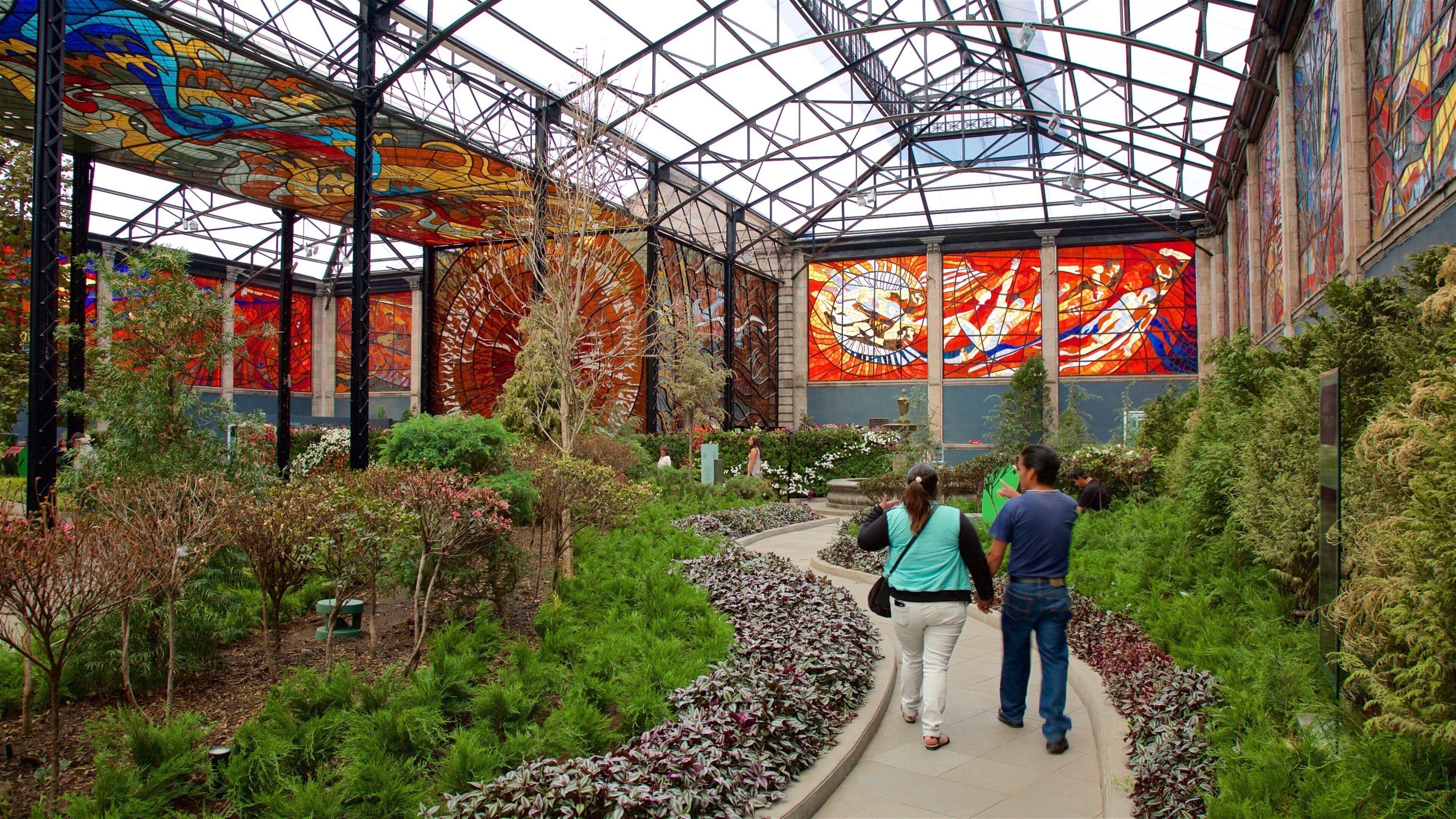 Central Mexico which includes interior views, outdoor art and a park