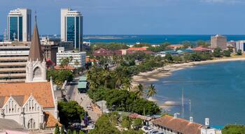 East Africa, Tanzania, Dar es Salaam panorama cathedral