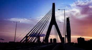 มาร์โกรี