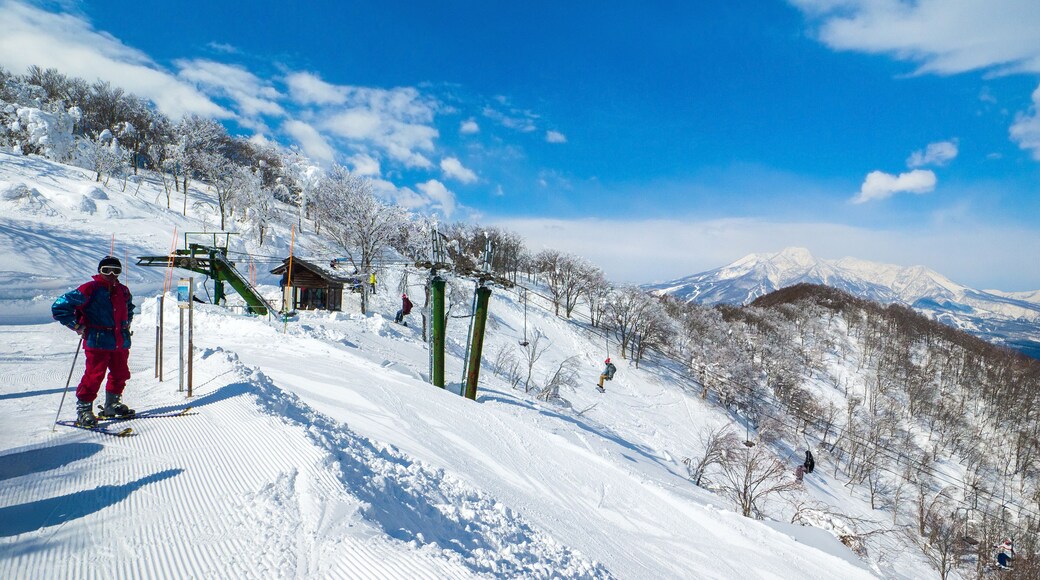 Estación de esquí de Madarao