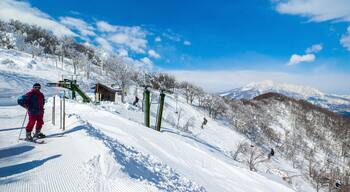 마다라오산 리조트