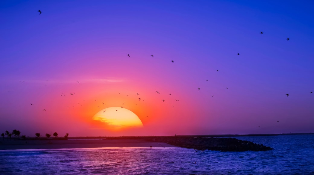 ๋น์น & ์ฝ์คํธ