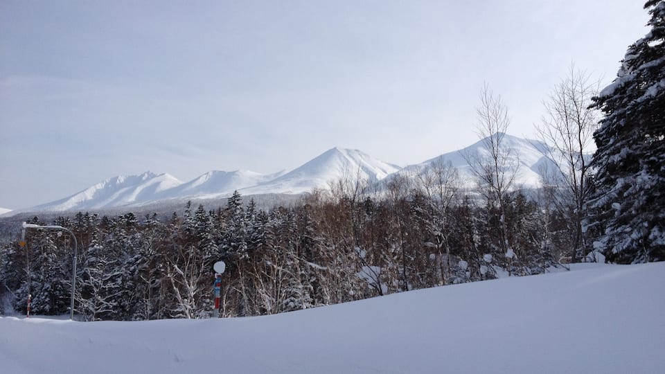 A snowy mountain landscape with snow-covered trees and a clear sky.