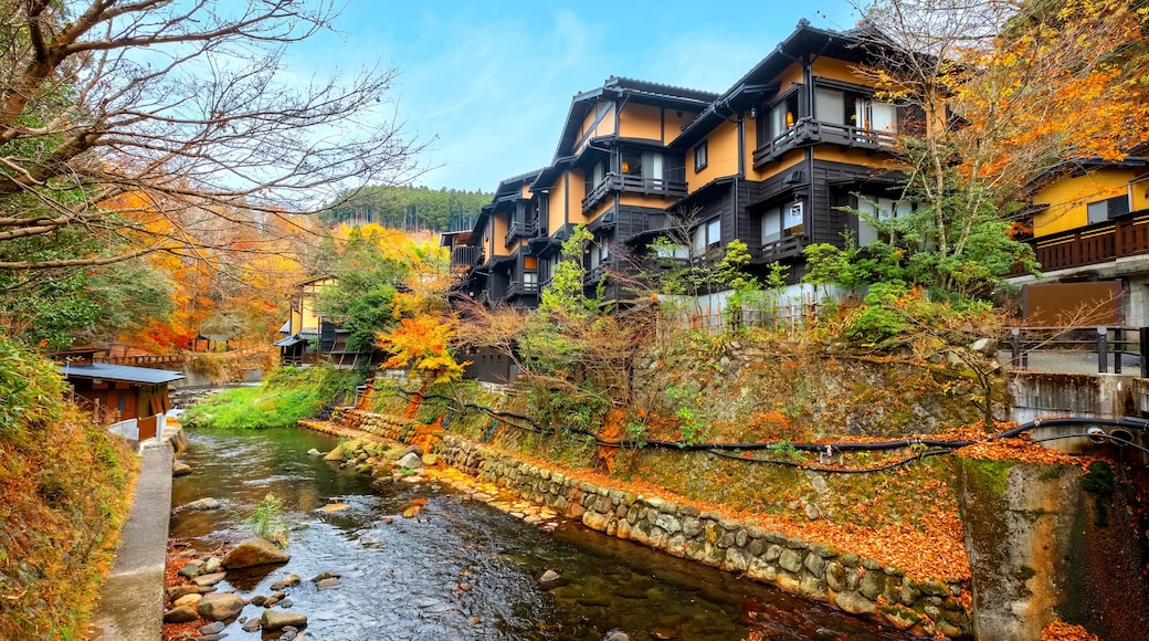Kumamoto, Japan - Nov 22 2022: Kurokawa Onsen is one of Japan's most attractive hot spring towns. The town's lanes are lined by ryokan, public bath houses, attractive shops and cafes