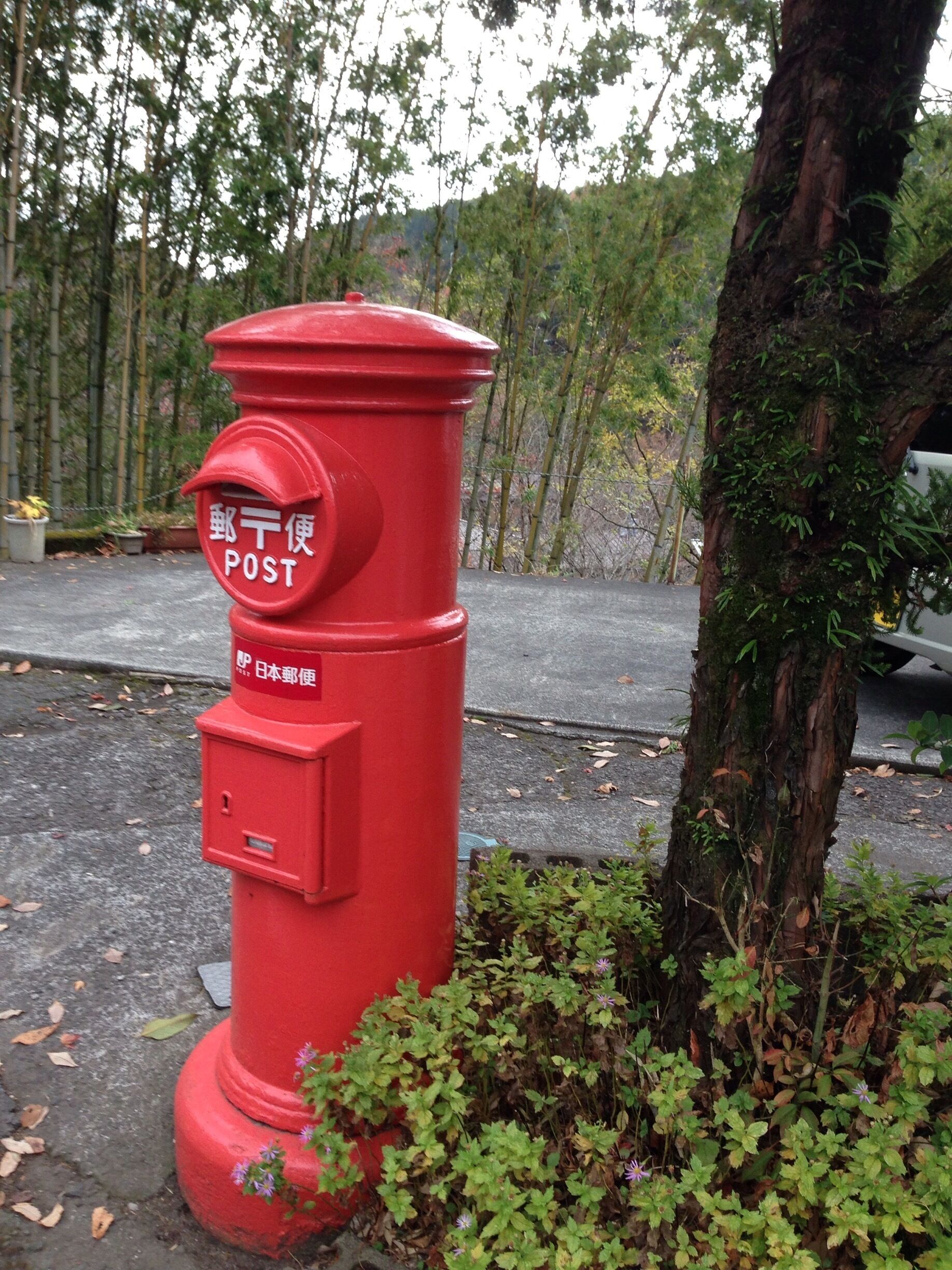 A red post box with Japanese characters and the word "POST" on it, located near a tree and a road.