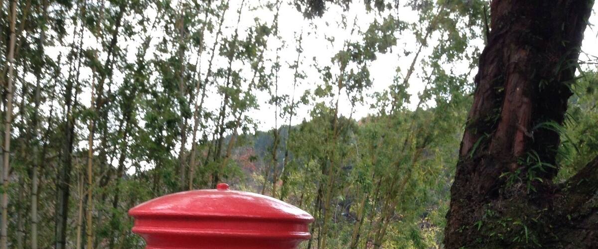 A red post box with Japanese characters and the word "POST" on it, located near a tree and a road.