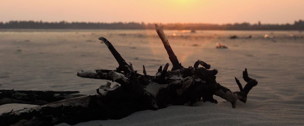 One of the best beaches in South India! It's has two faces,the pic shown is taken from a less crowded,beautiful and untouched part of paradise beach.. you can simply connect with the nature and forget about everything here.
#nofilter
#sunset
#bruisedpassports
#trover
#beachbound