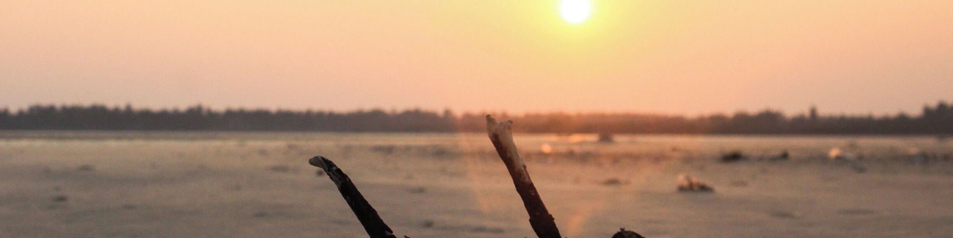 One of the best beaches in South India! It's has two faces,the pic shown is taken from a less crowded,beautiful and untouched part of paradise beach.. you can simply connect with the nature and forget about everything here.
#nofilter
#sunset
#bruisedpassports
#trover
#beachbound