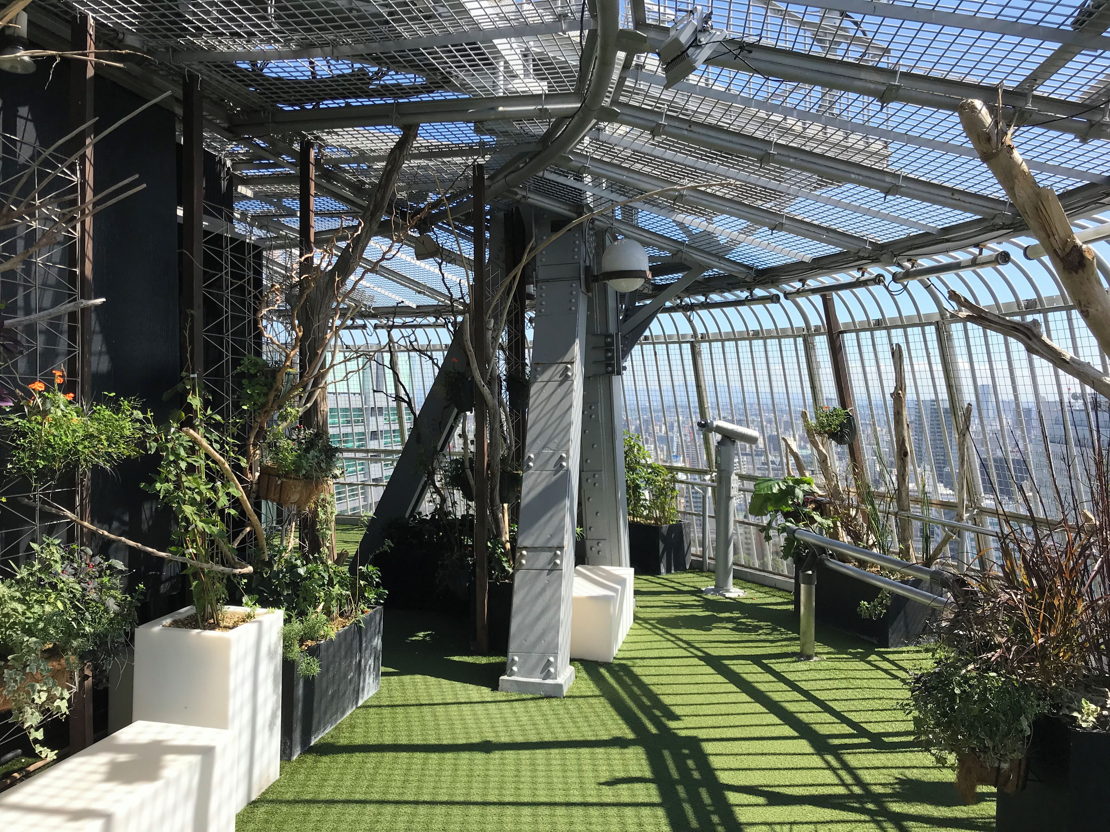 名古屋テレビ塔の最上階展望台の内装。植物が各所に植えられ、床には人工の芝生が敷き詰められている。