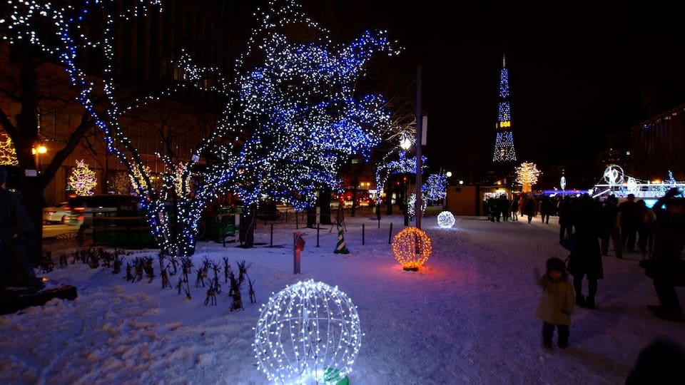 第33回さっぽろホワイトイルミネーション(Sapporo White Illumination 2013)