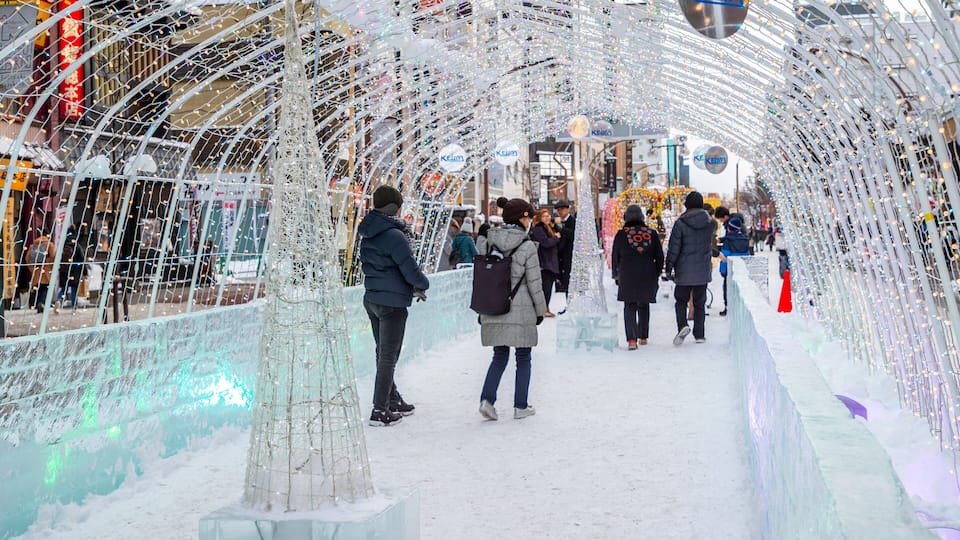 Susukino featuring snow as well as a small group of people
