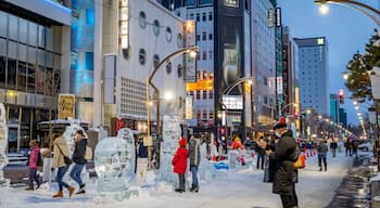 Susukino which includes street scenes, a city and outdoor art