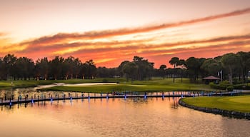 Landscape view of golf course at sunset in Turkey Belek