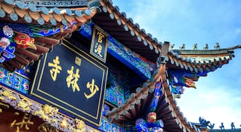 Guandu